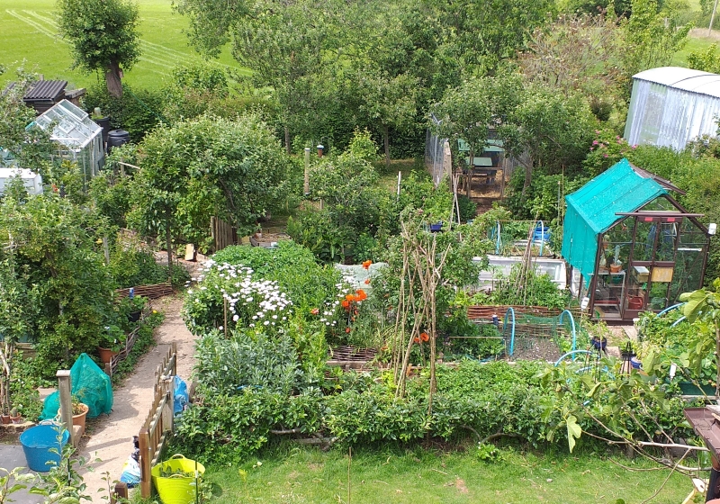 Stottesdon Village Open Gardens